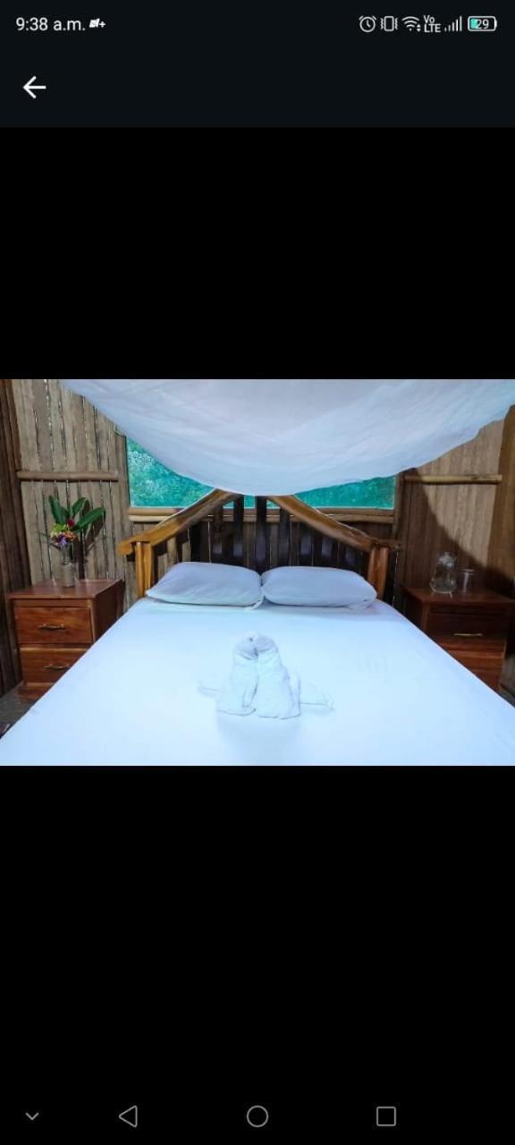 Castana Amazon Park Hostel ปูแอร์โต มัลโดนาโด ภายนอก รูปภาพ