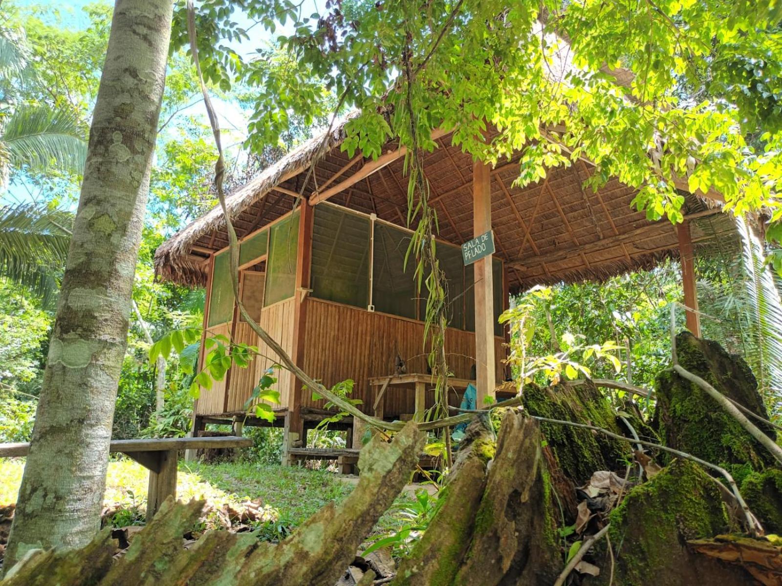 Castana Amazon Park Hostel ปูแอร์โต มัลโดนาโด ภายนอก รูปภาพ