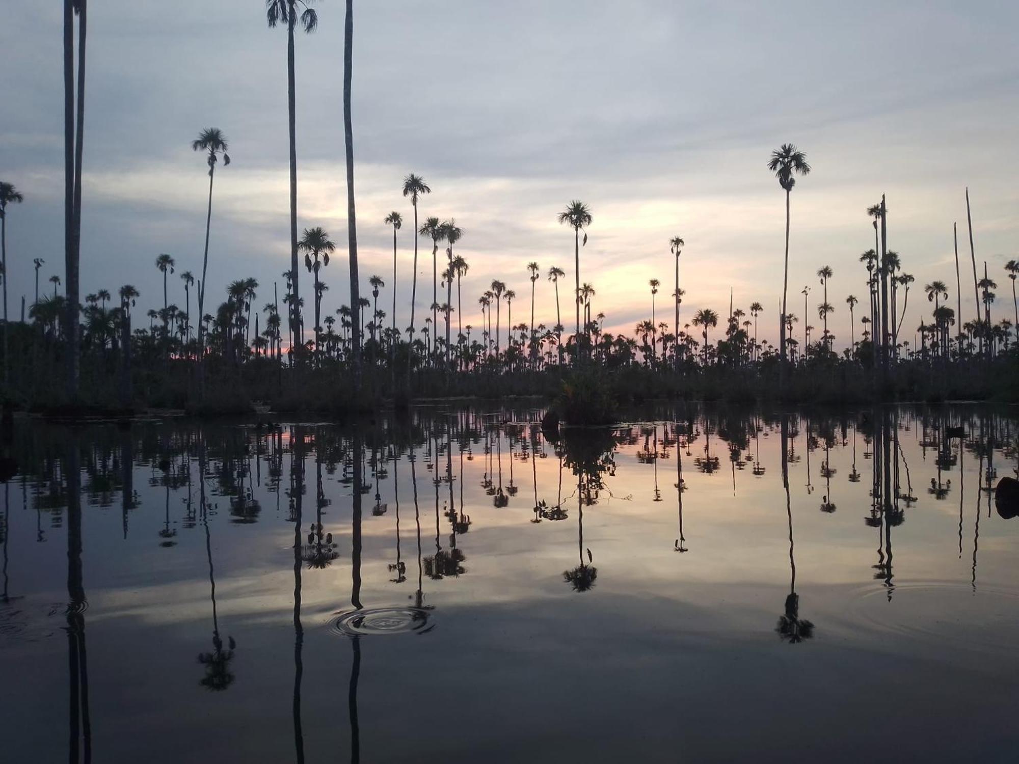 Castana Amazon Park Hostel ปูแอร์โต มัลโดนาโด ภายนอก รูปภาพ