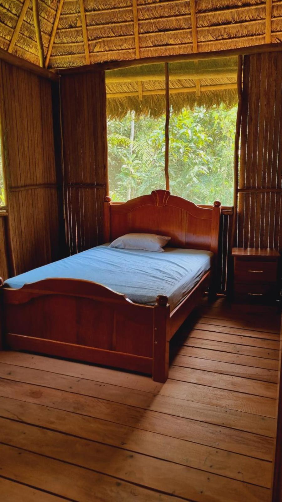 Castana Amazon Park Hostel ปูแอร์โต มัลโดนาโด ภายนอก รูปภาพ