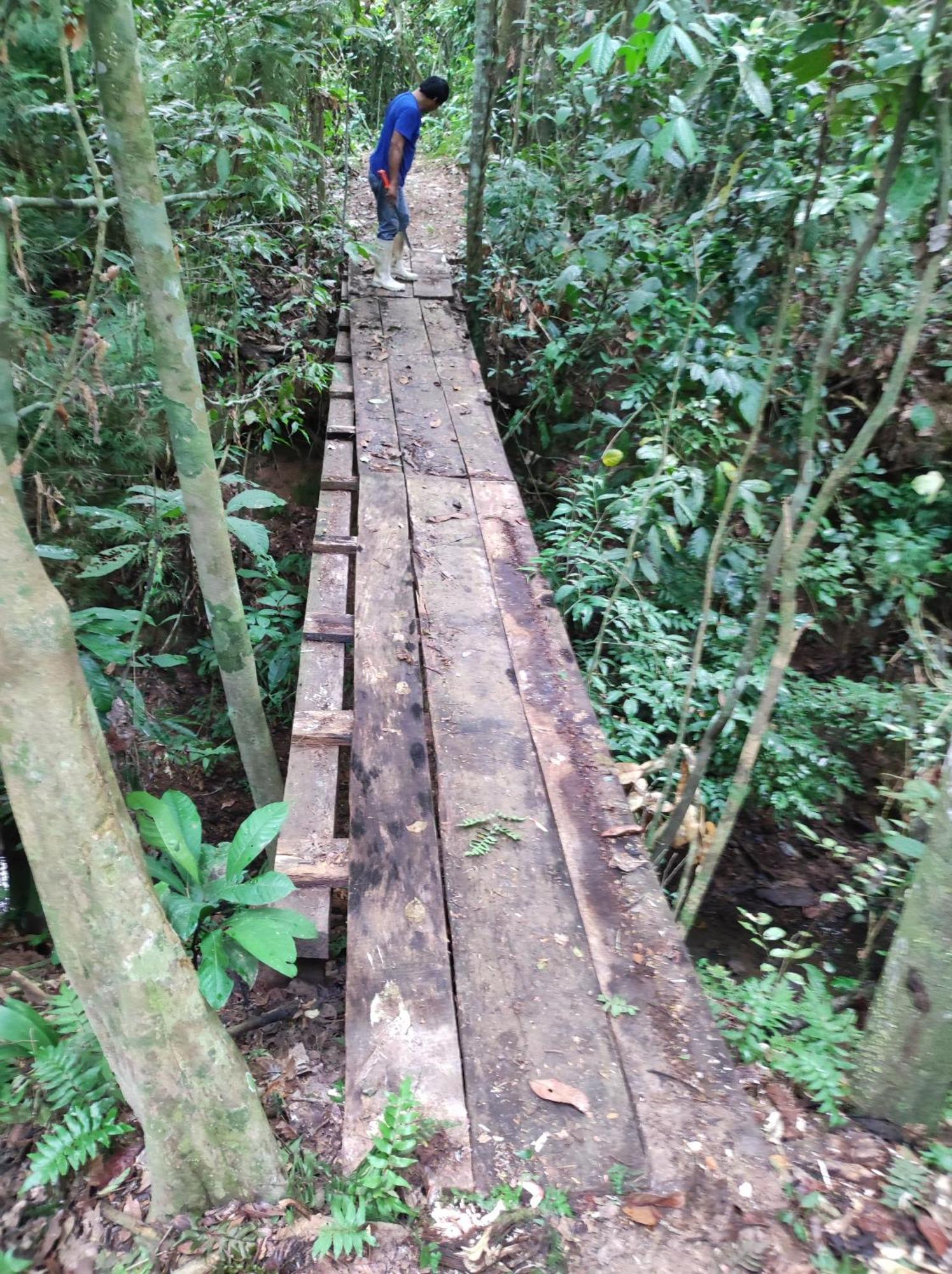 Castana Amazon Park Hostel ปูแอร์โต มัลโดนาโด ภายนอก รูปภาพ